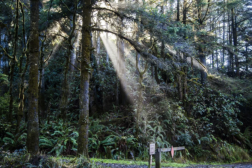 Sun light