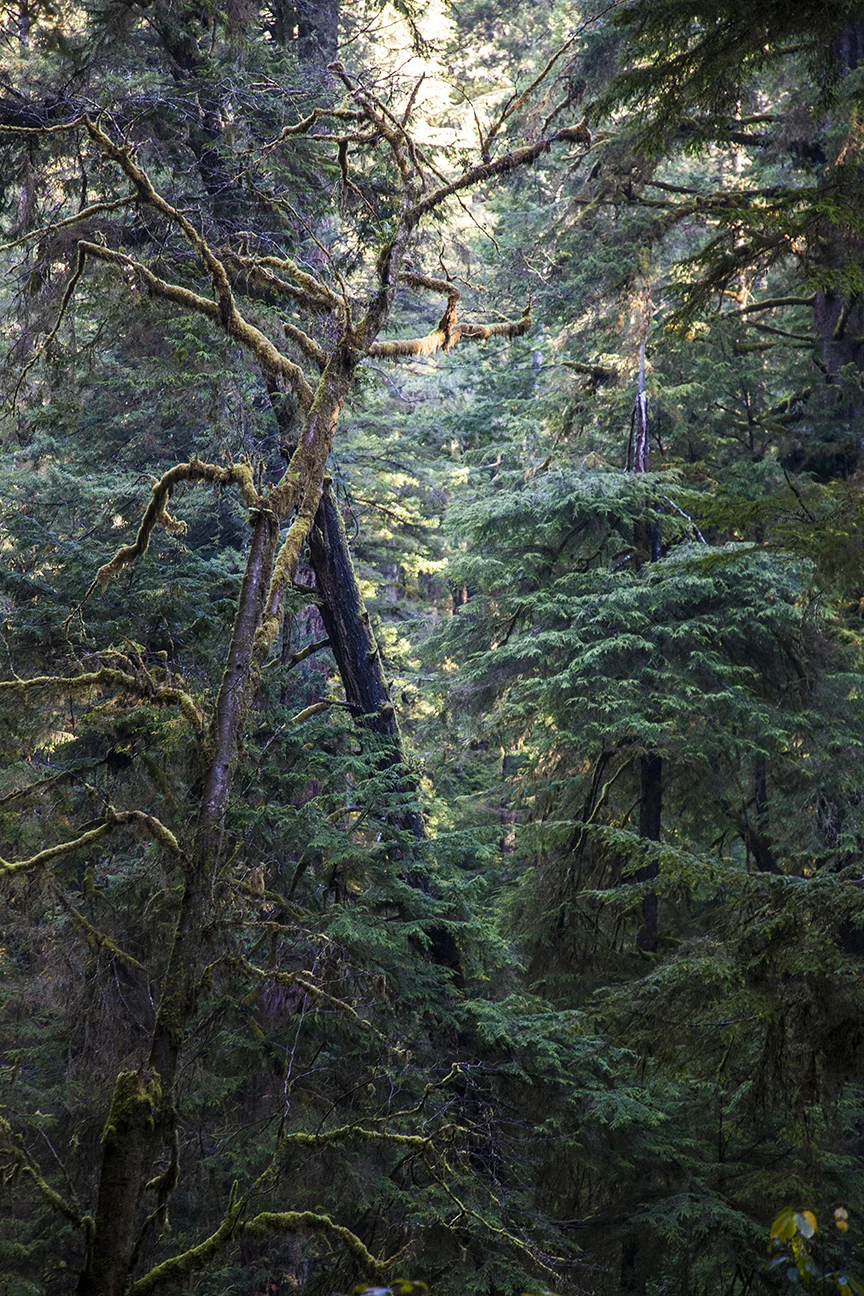 My personal favorite picture from the trip