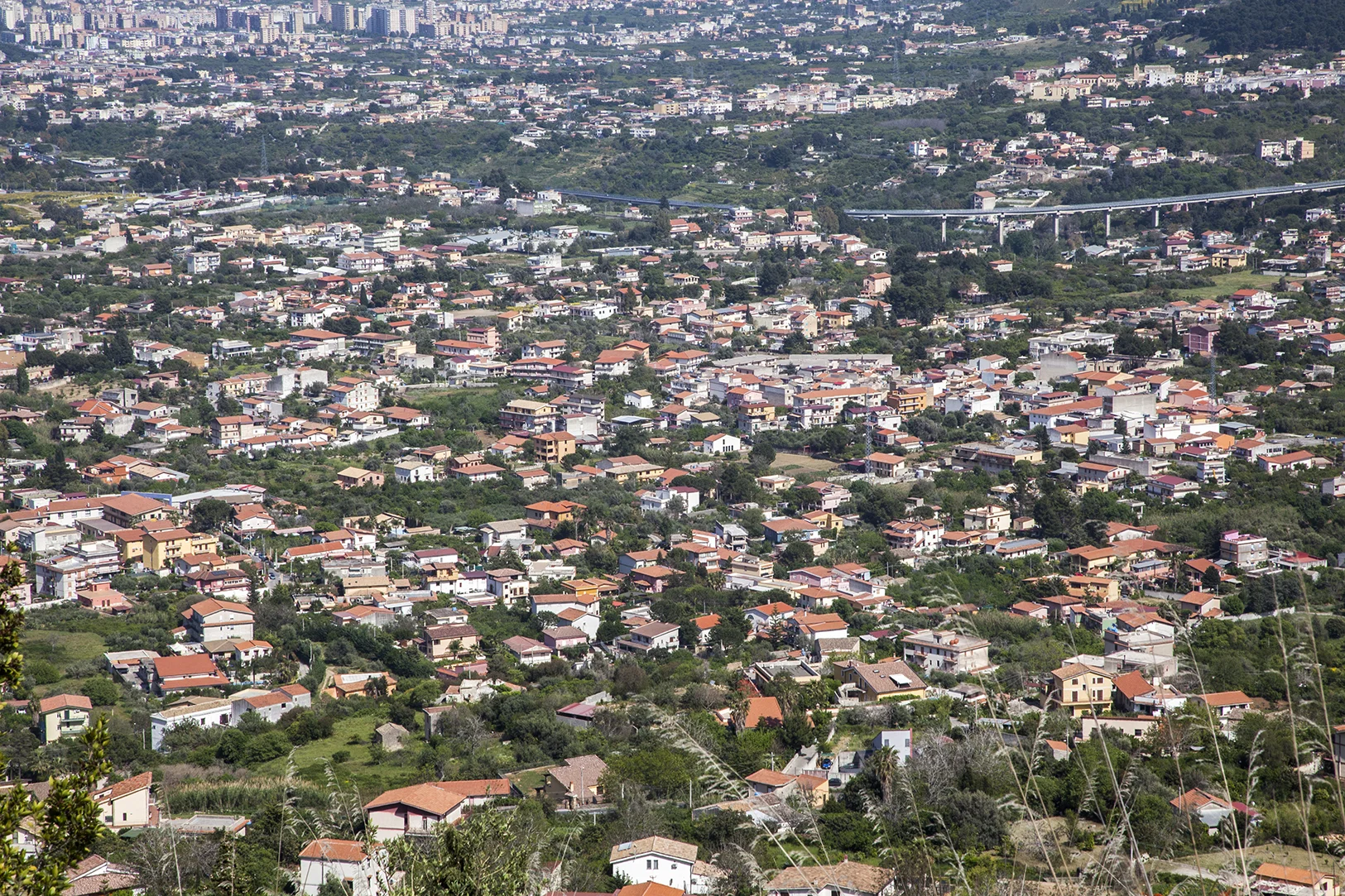the ‘burbs
