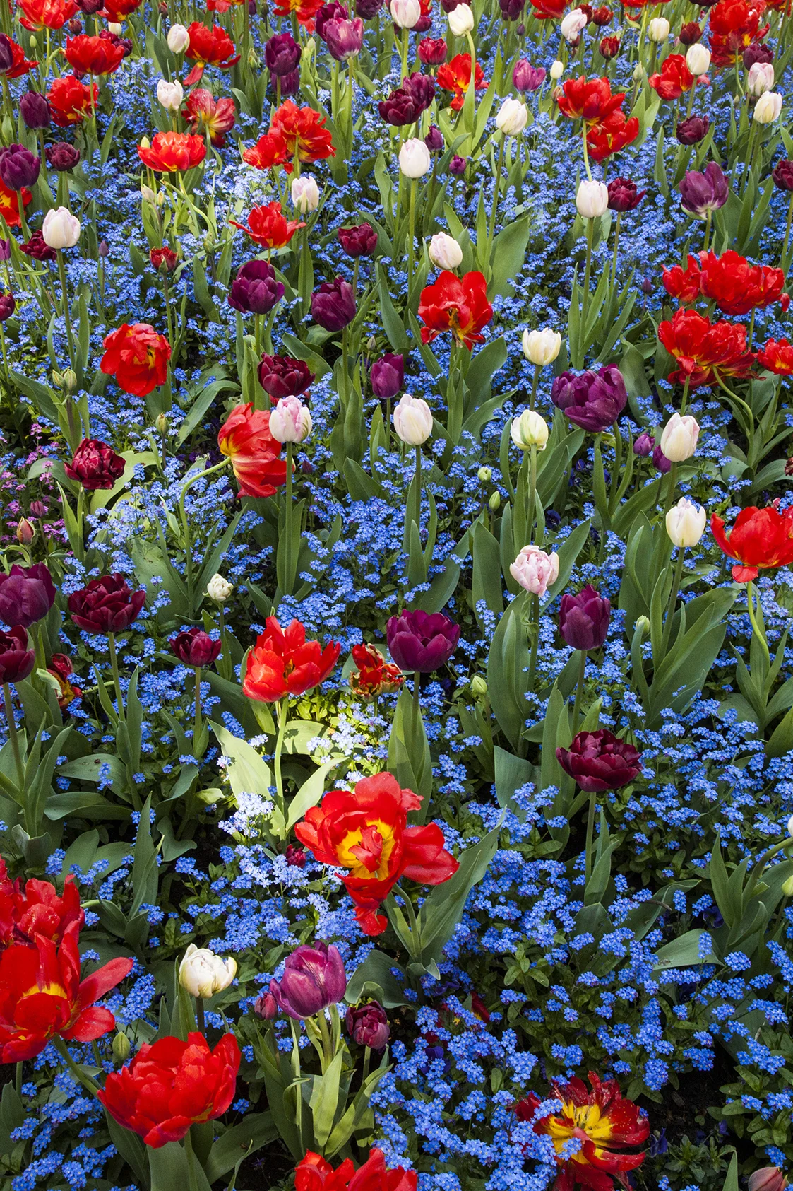 It was Spring