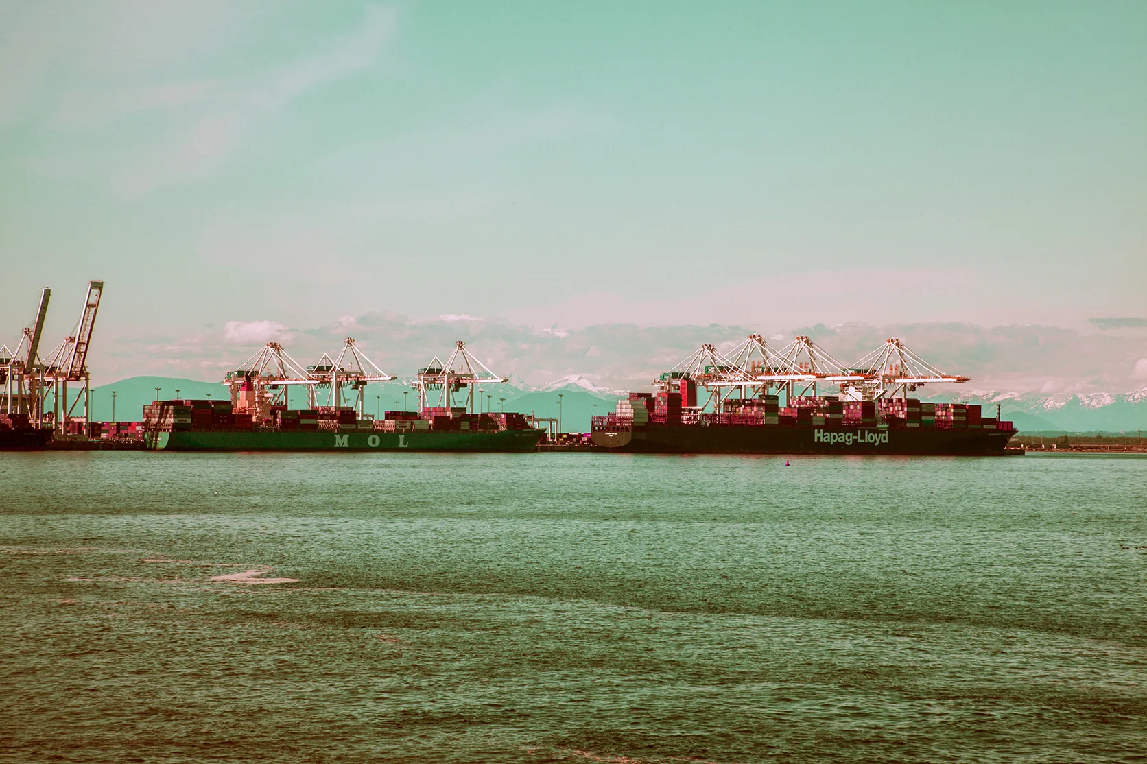 ships web.jpg