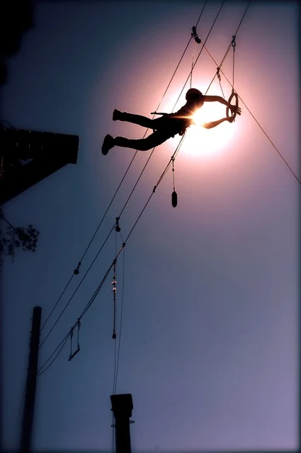 Silhouette Leap of Faith Culver City.jpg
