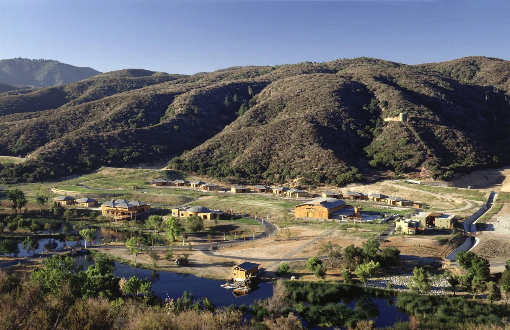 painted turtle camp.jpg