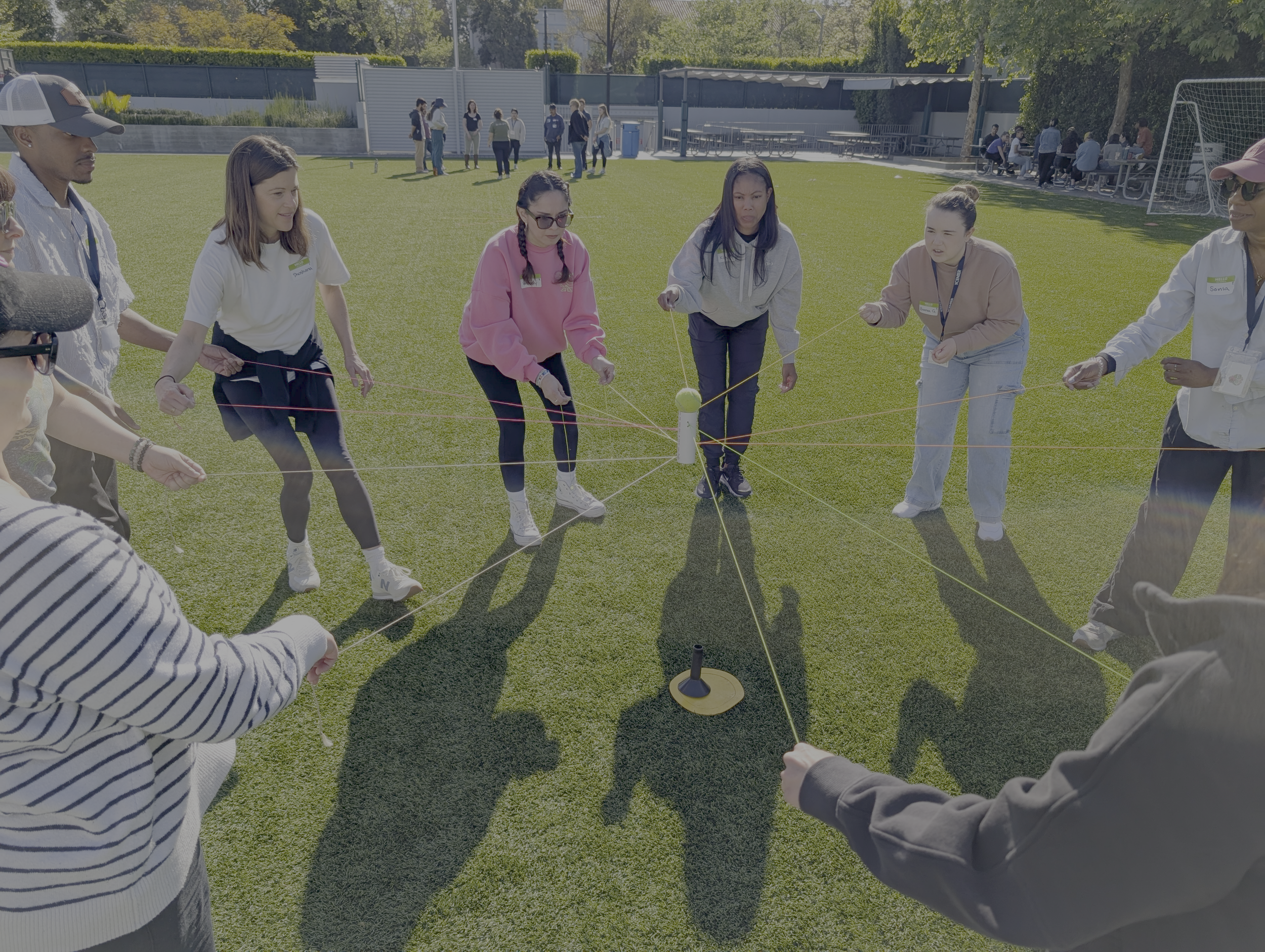 bull ring adults.png