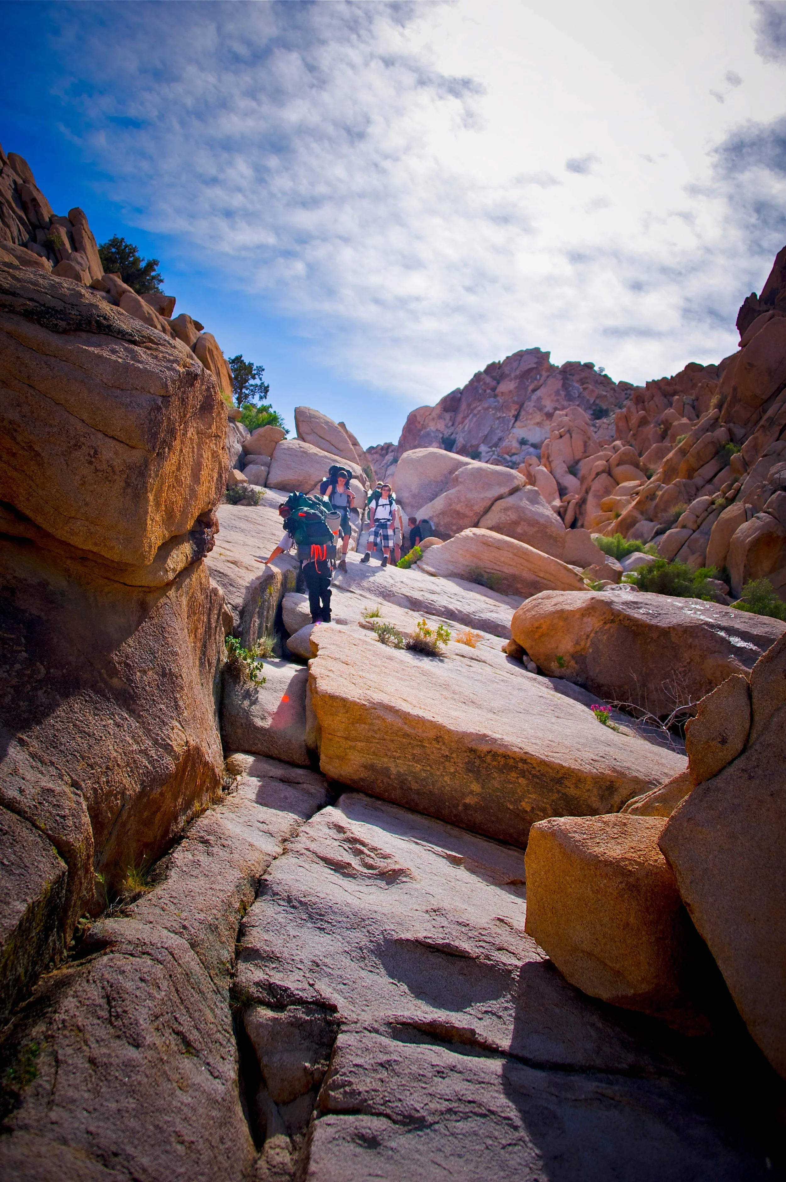 Joshua Tree Rattlesnake Canyon hike.jpg