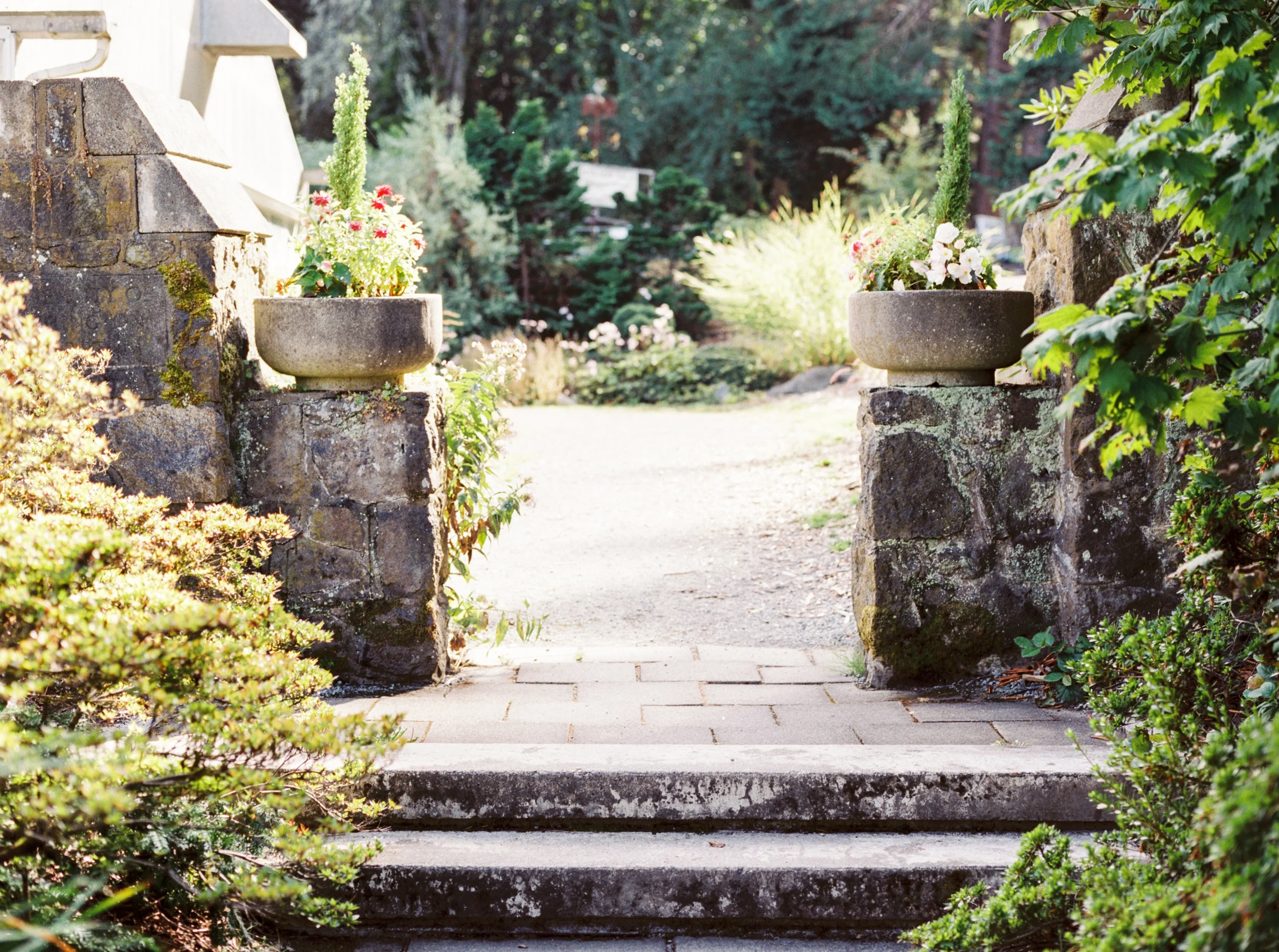 29757_01.jpg