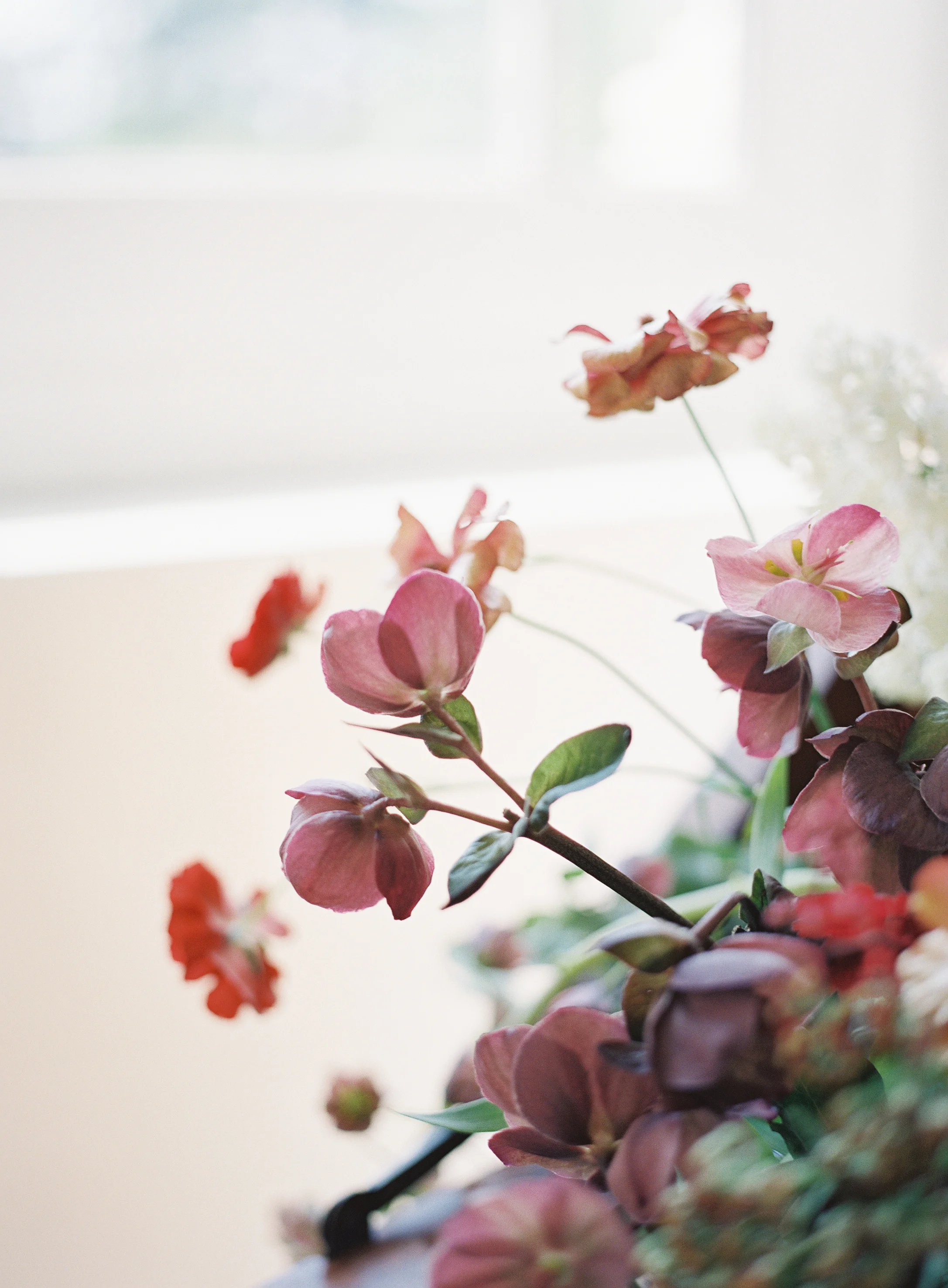 Floral1.jpg