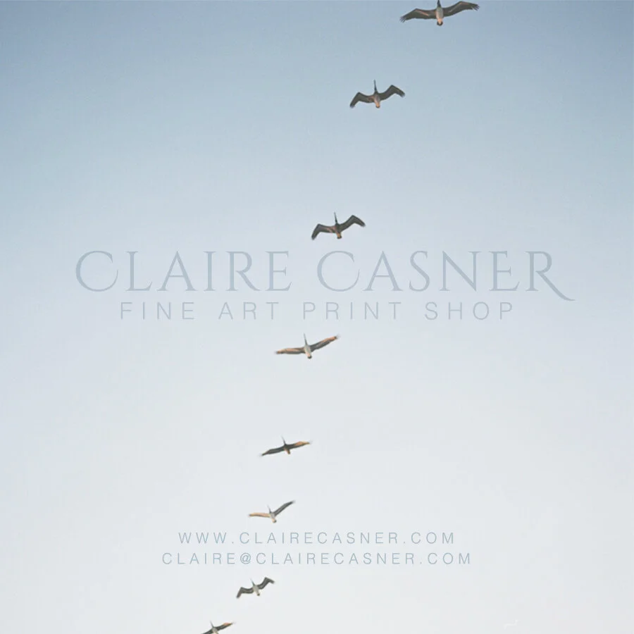 Gift Card - Print Shop