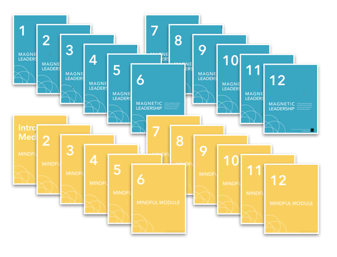 Bi-weekly workbooks and mindfulness exercises