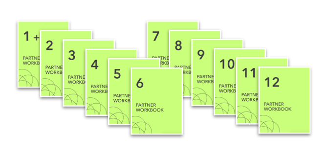 Bi-weekly workbooks to guide your partner coaching sessions