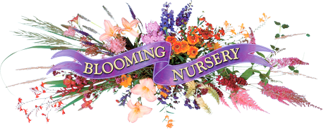 Blooming Nursery.png