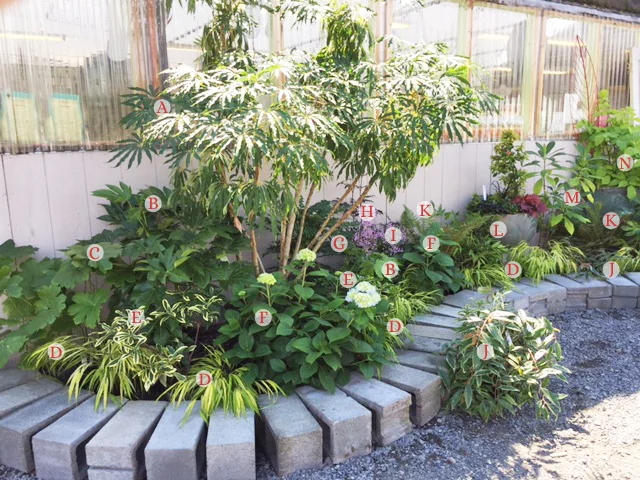 shade display garden copy2.jpg