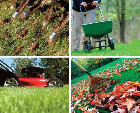 fall-lawn-care collage.jpg