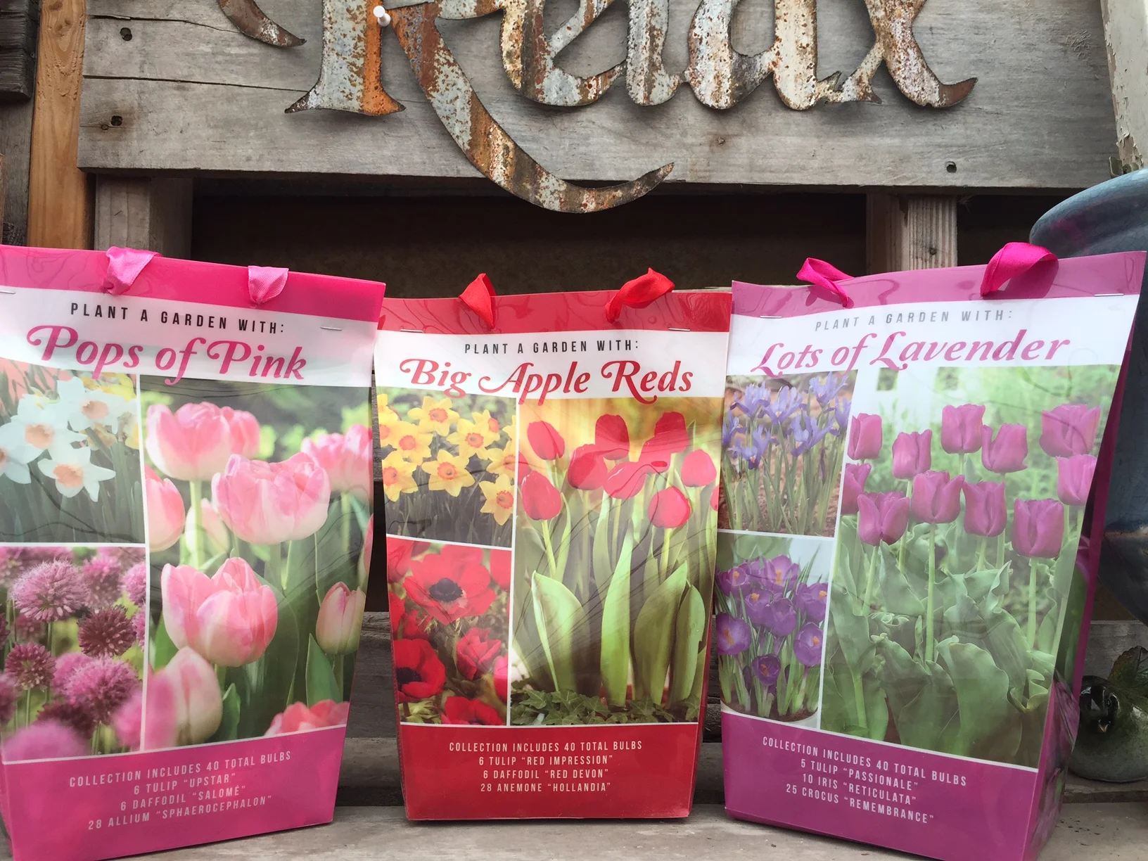 bulb 'easy packs'.jpg