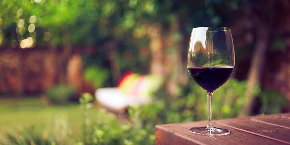 red wine in the garden.jpg