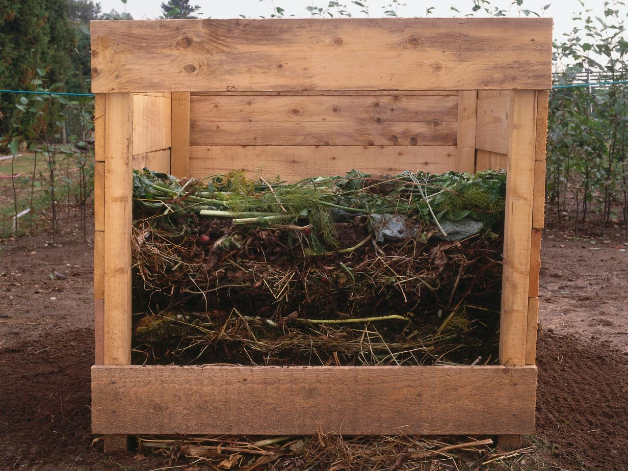 compost bin.jpg