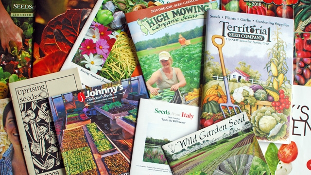 seed-catalogs.jpg