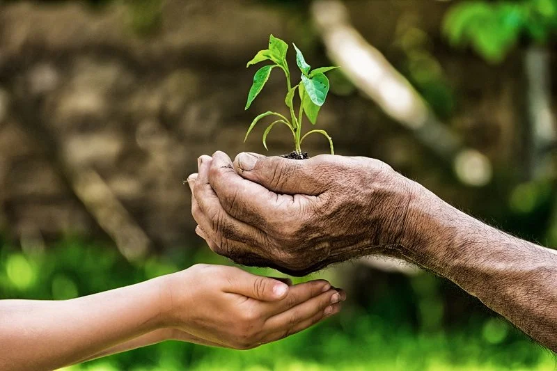 Life-Hands-Gardening.jpg