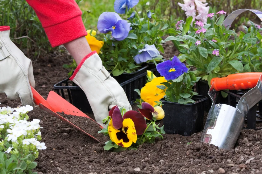 fall gardening.jpg