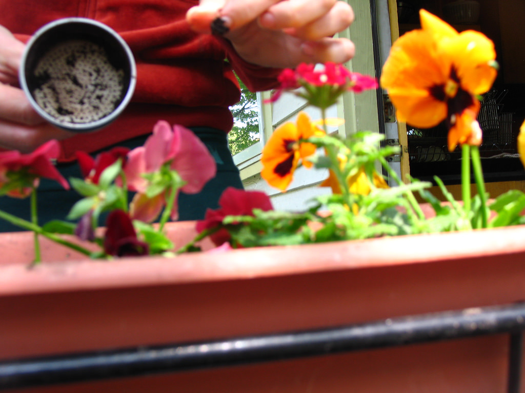 coffee grounds in you garden.jpg