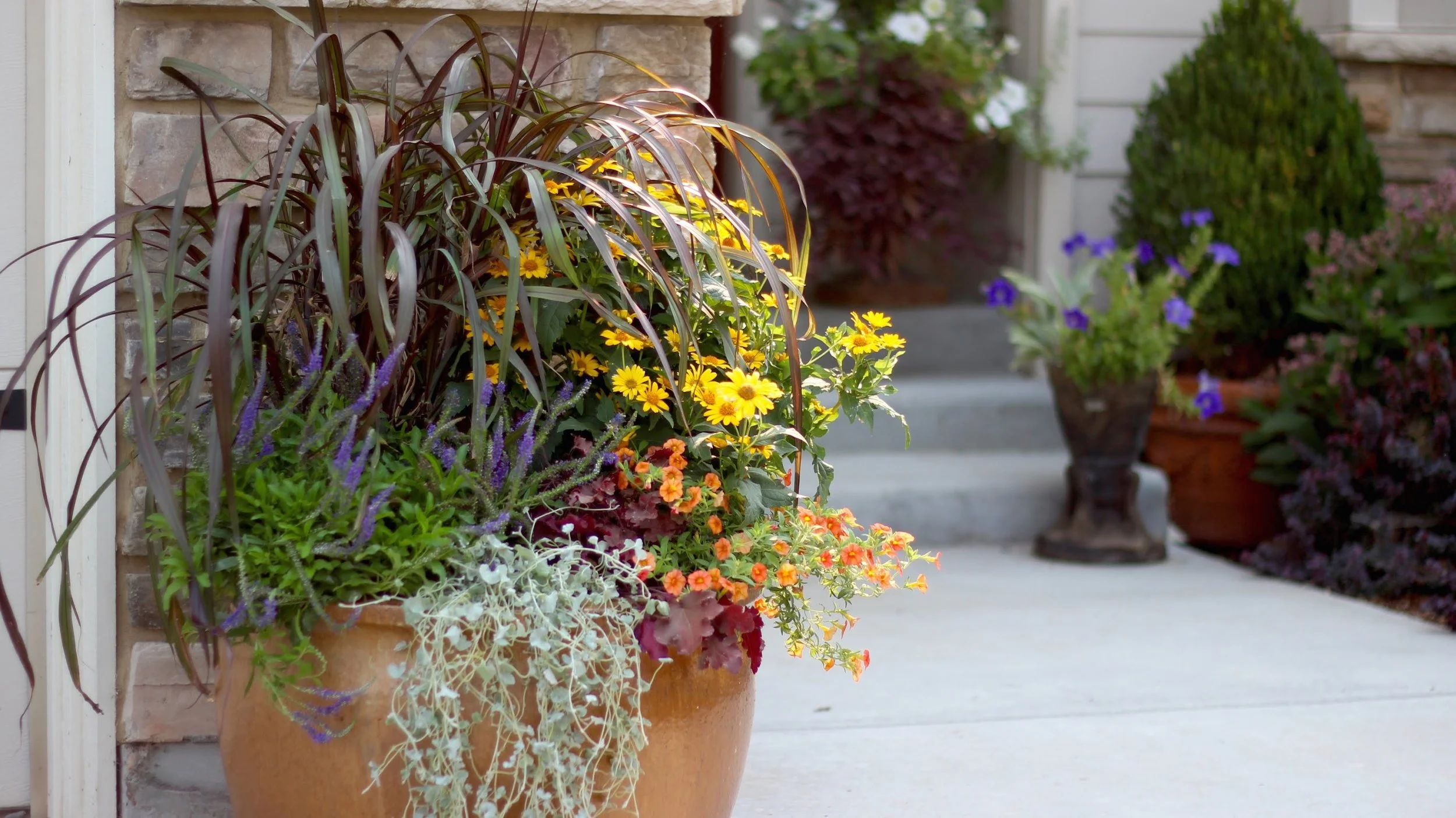 container gardening.jpg