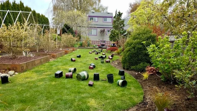 Steve's yard - planting.jpg