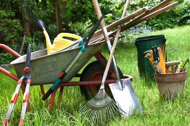 Garden-Tools.jpg
