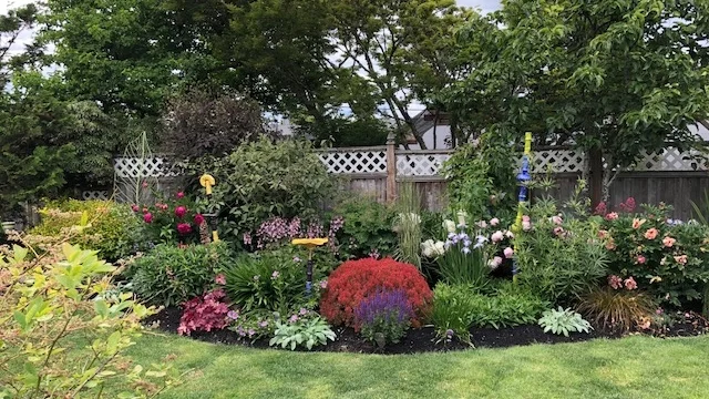Steve's garden.jpg