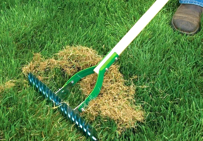 dethatching your lawn.jpg