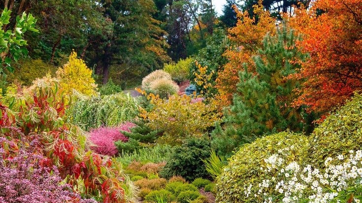 秋季灌木花园。jpg