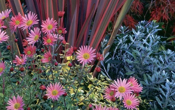 fall pnw garden2.jpg