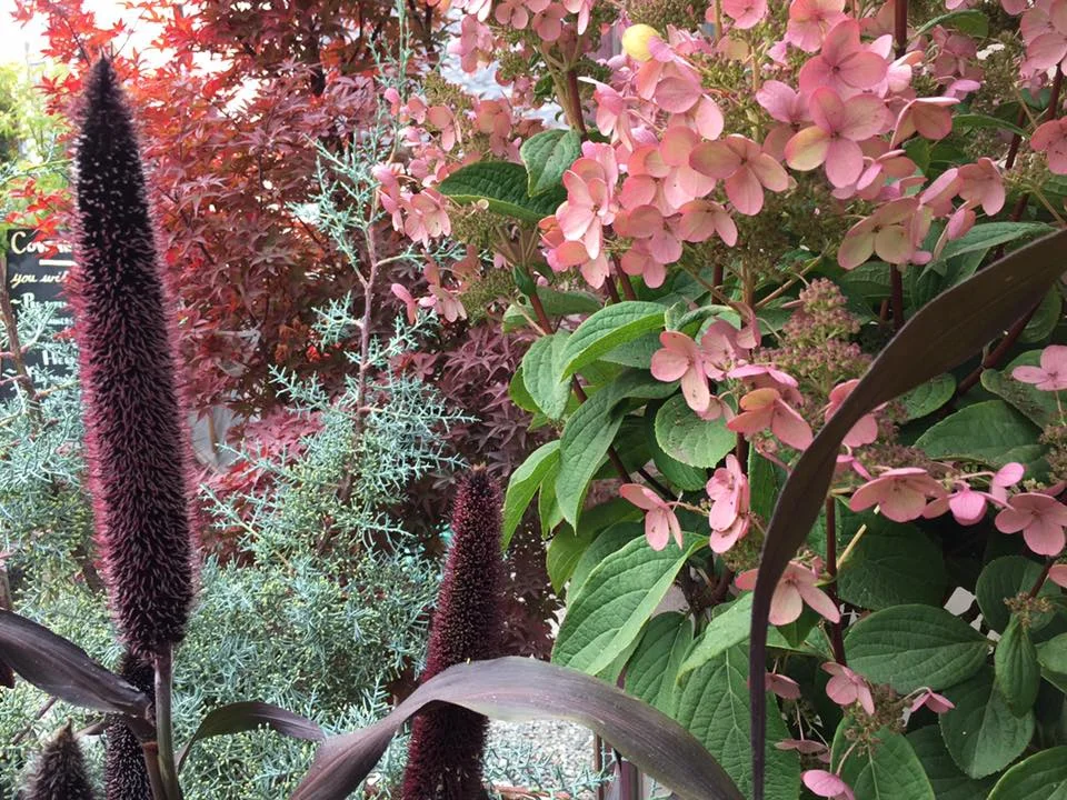 fall colors and textures.jpg