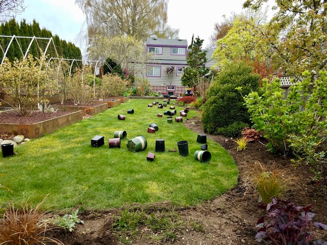史蒂夫的院子——种植。jpg