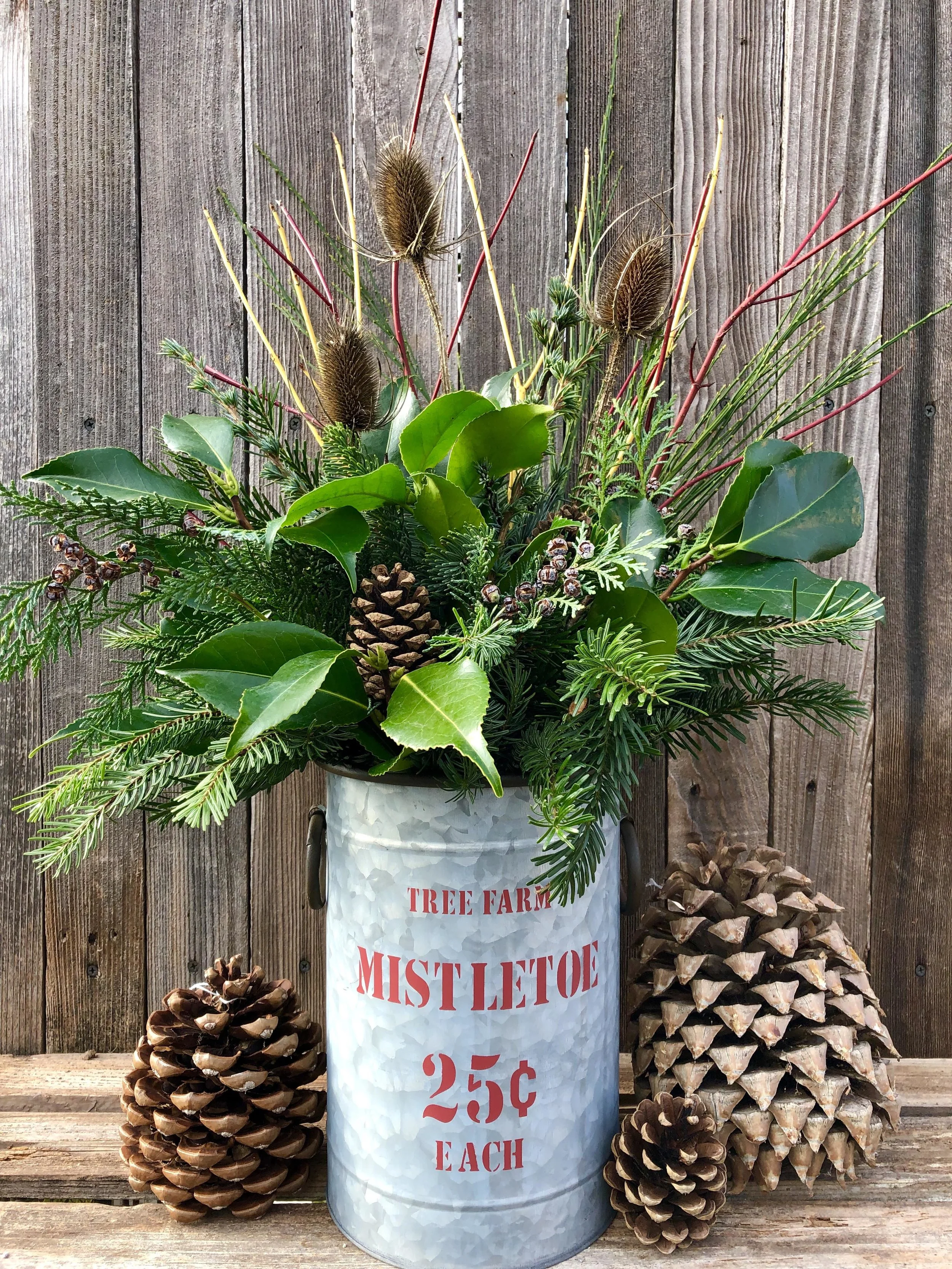 greens and such in container for holidays1.jpg