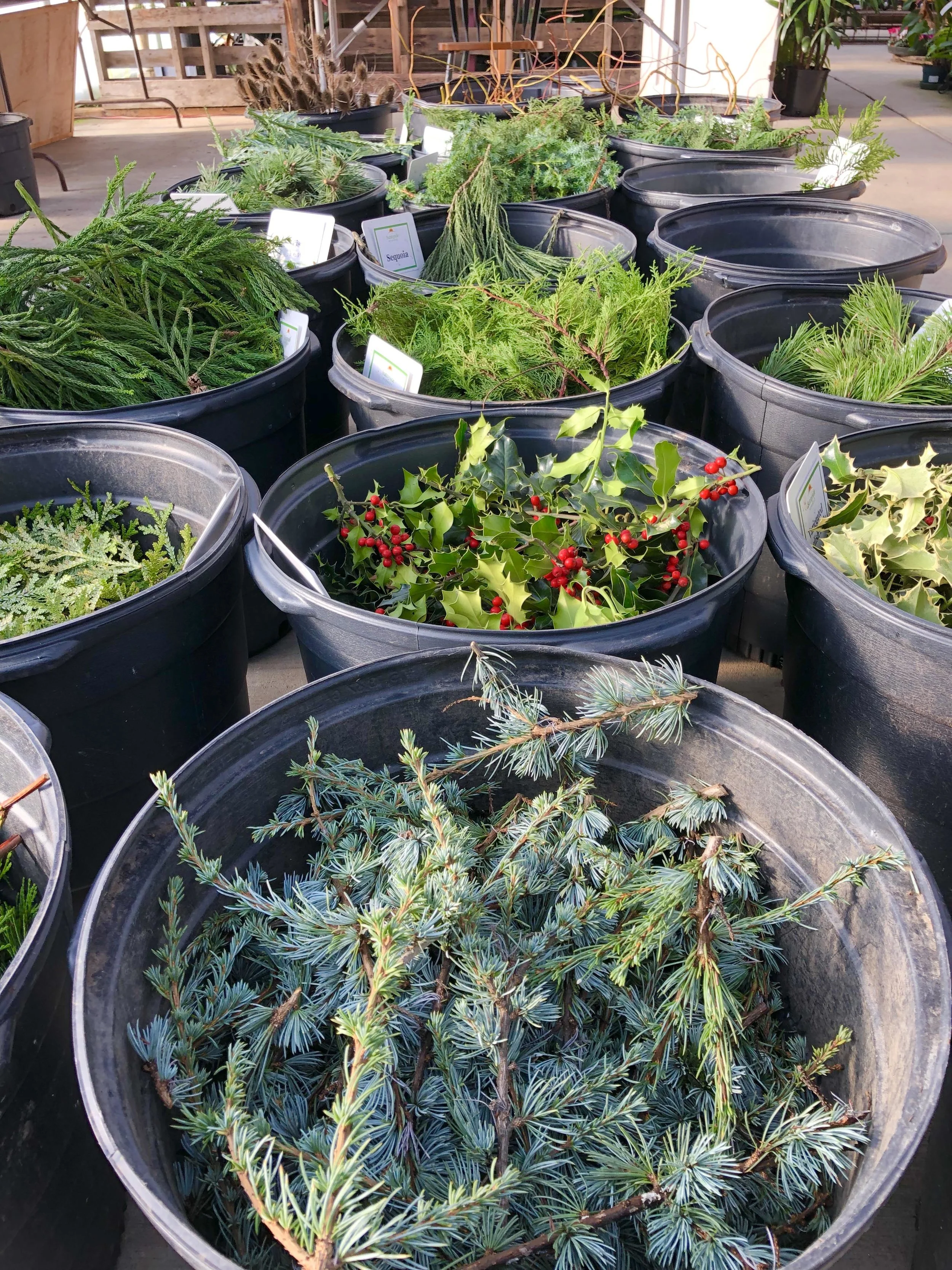 wreath materials in buckets1.jpg