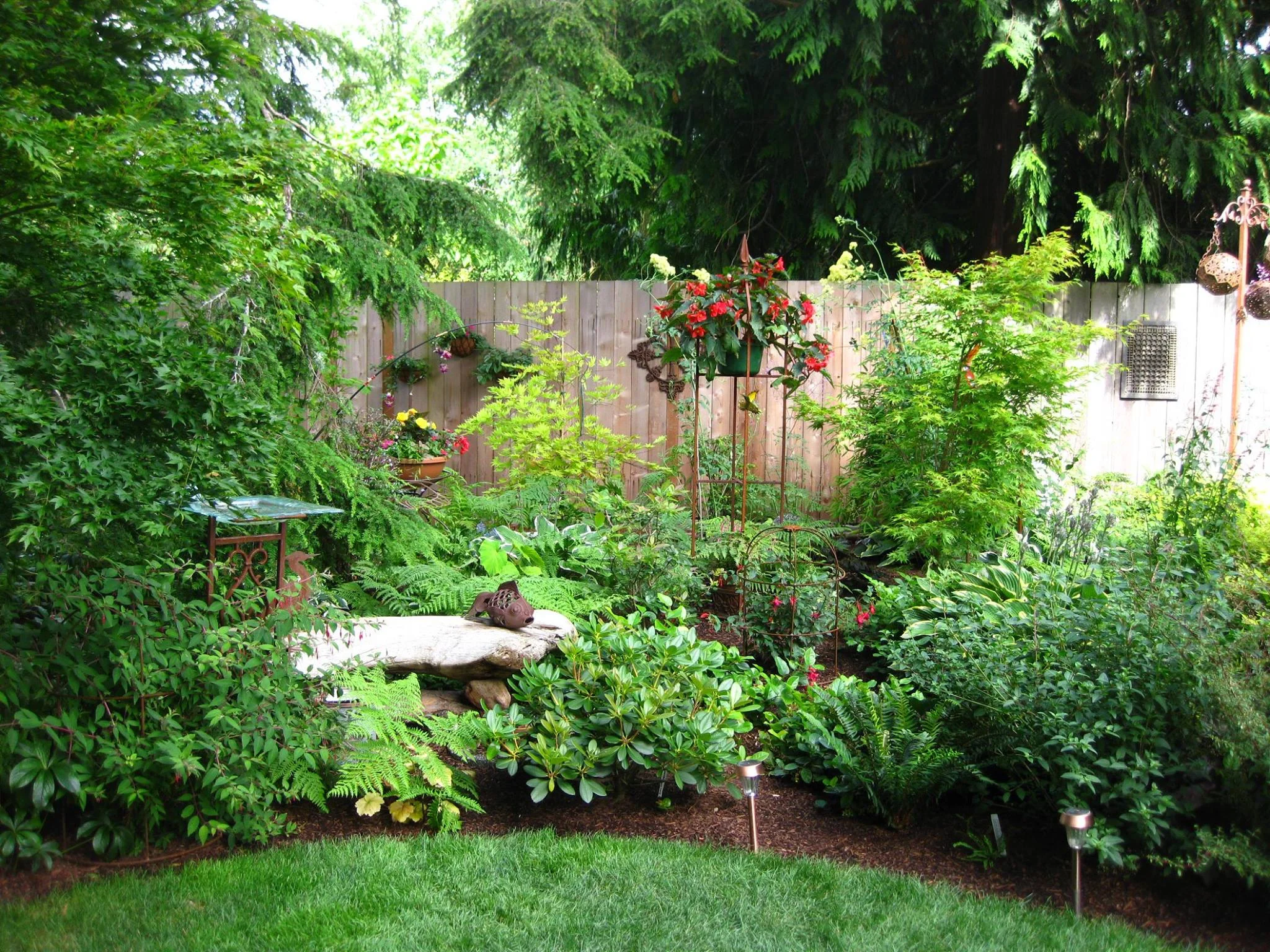 Edmonds In Bloom Garden Tour