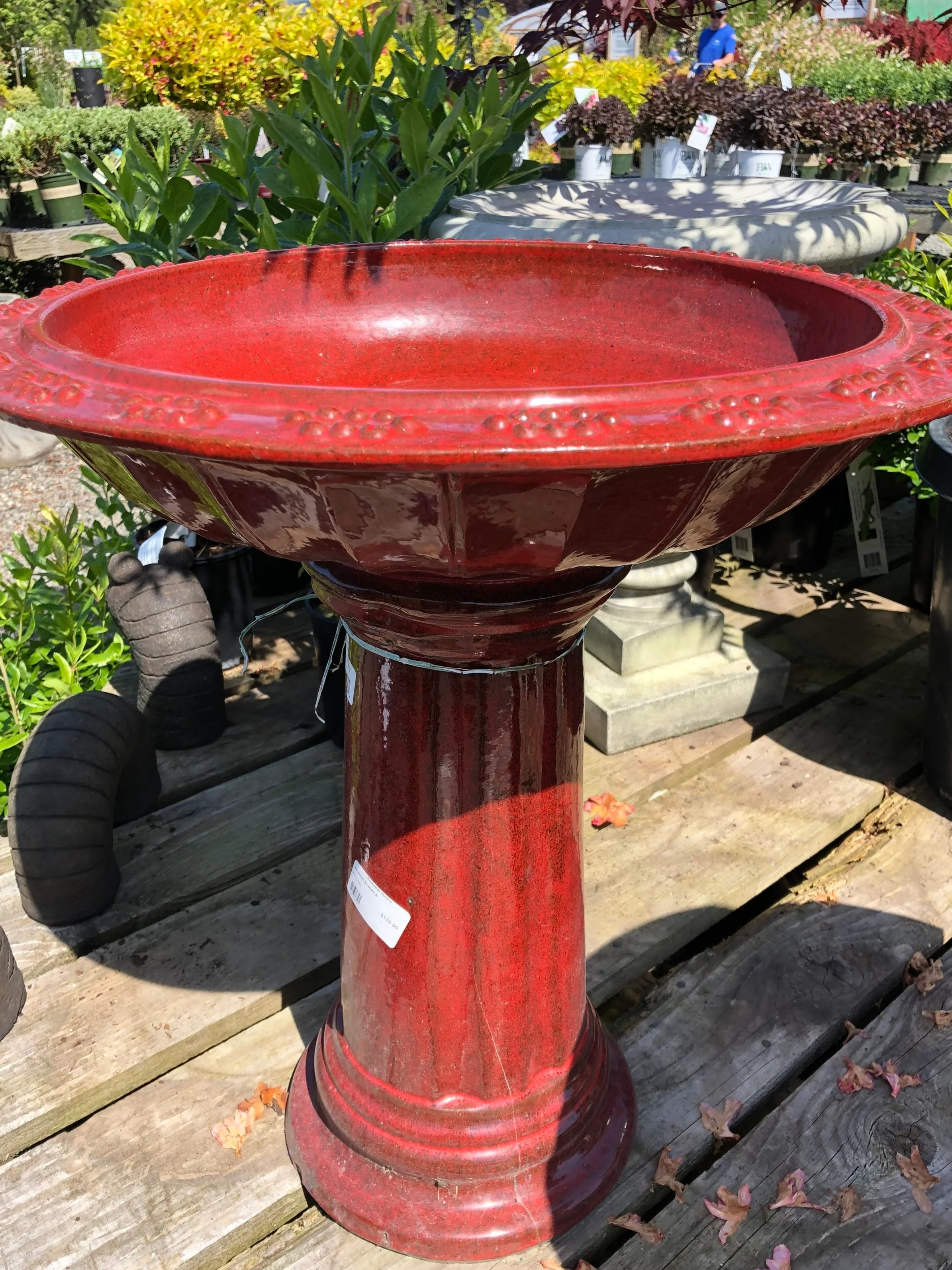 Verandah+red+birdbath.jpg