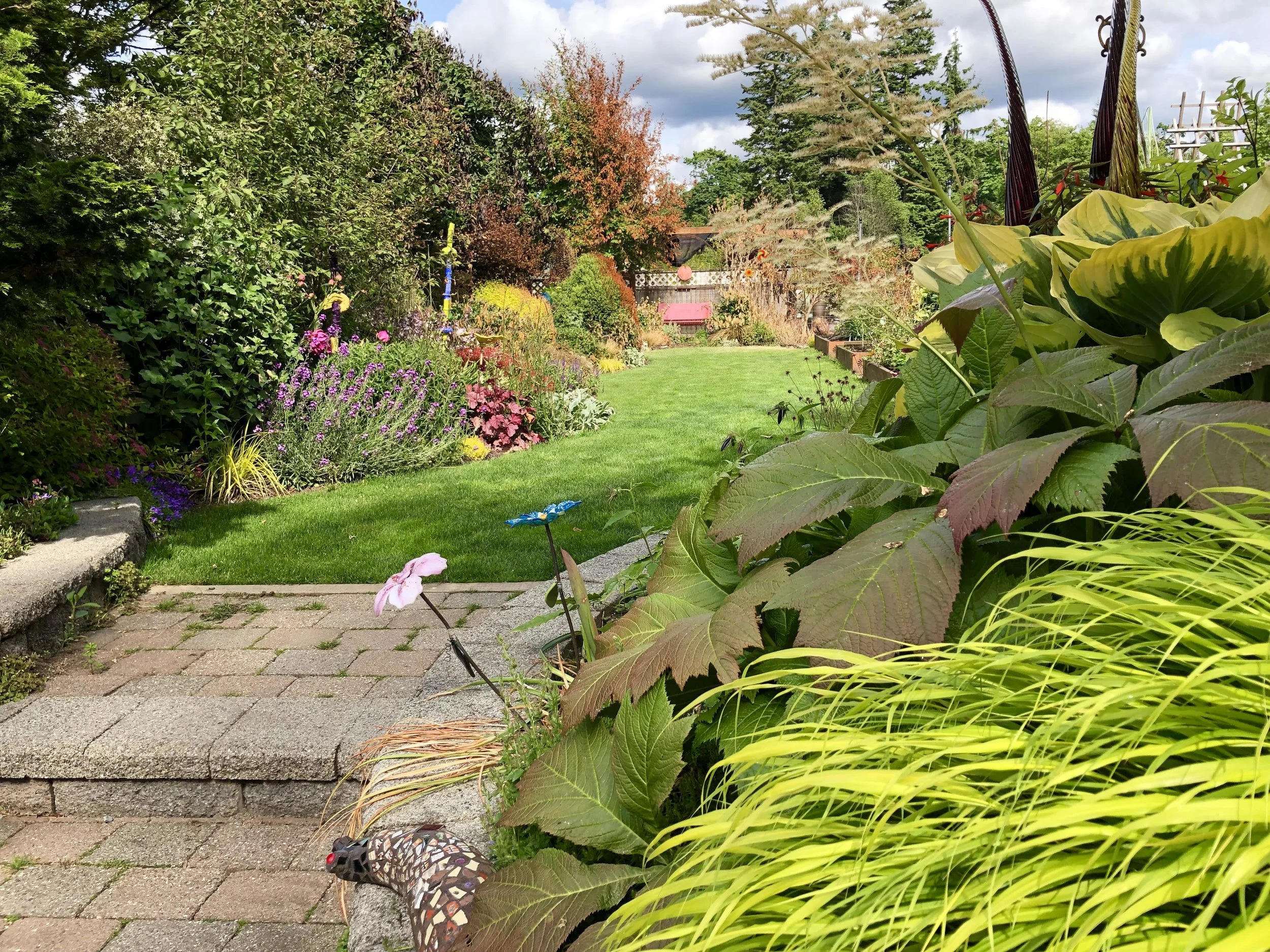 Steve's garden june 2019-1.jpg