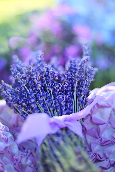lavender sachet.jpg