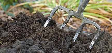 adding compost to garden.jpg