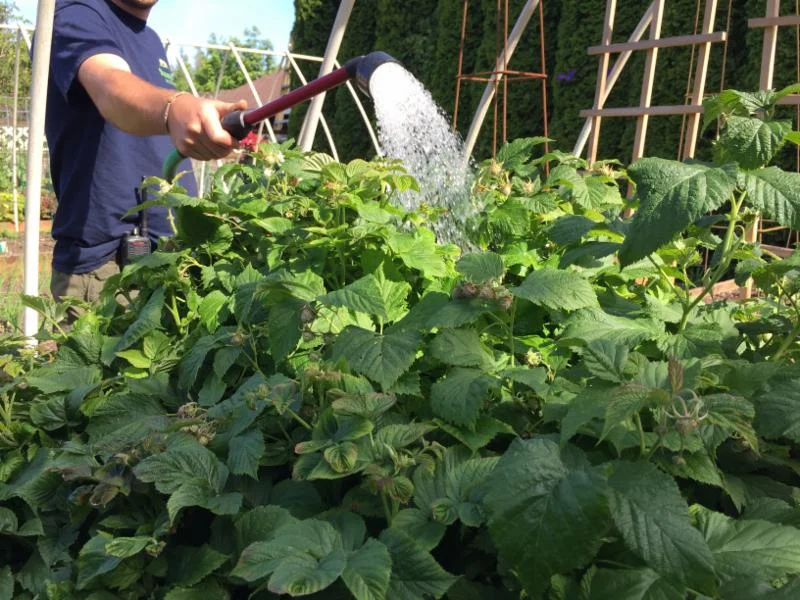 Wes watering in smith backyard.jpg