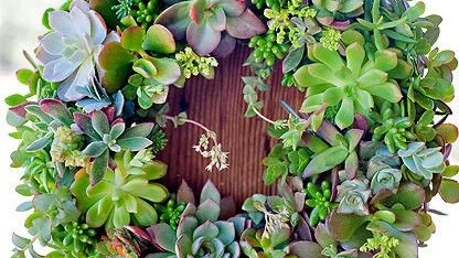 outdoor+succulent+wreath.jpg