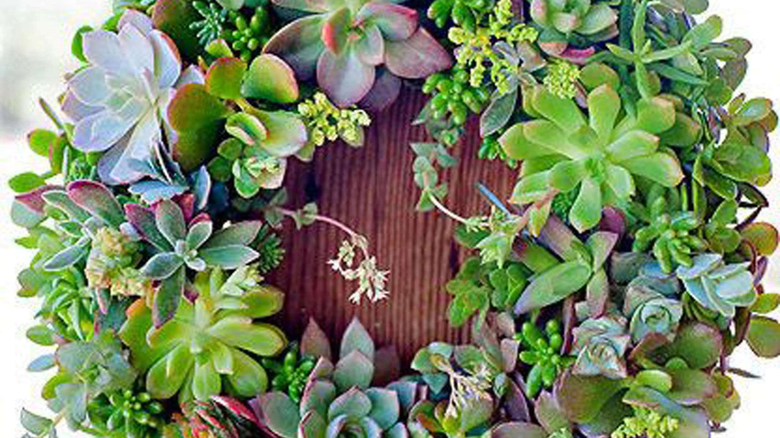 outdoor+succulent+wreath.jpg