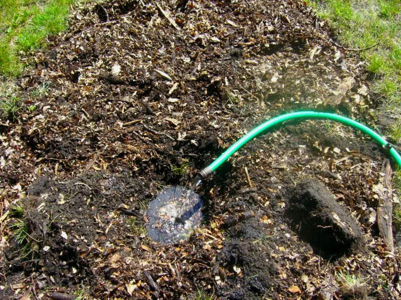 filling planting hole.jpg