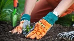 planting.jpg