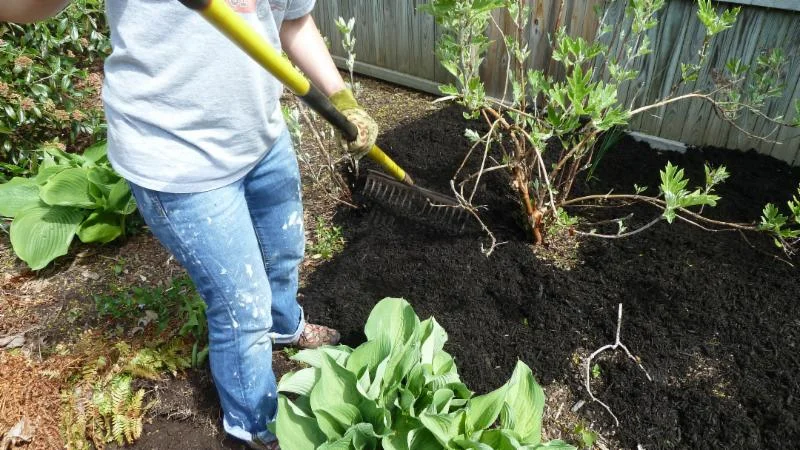laying compost on garden.jpg