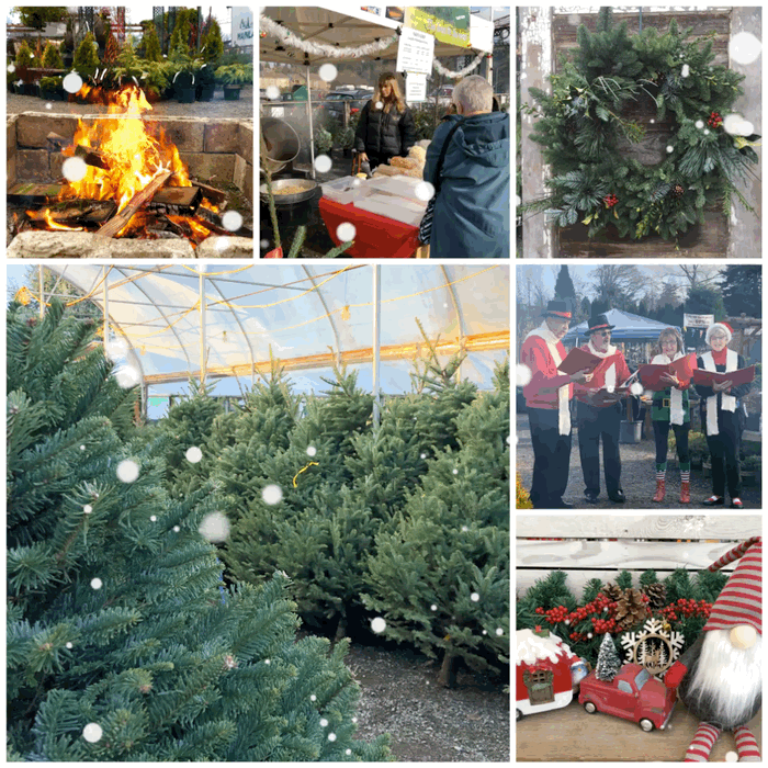 Holiday Kick-Off Open House