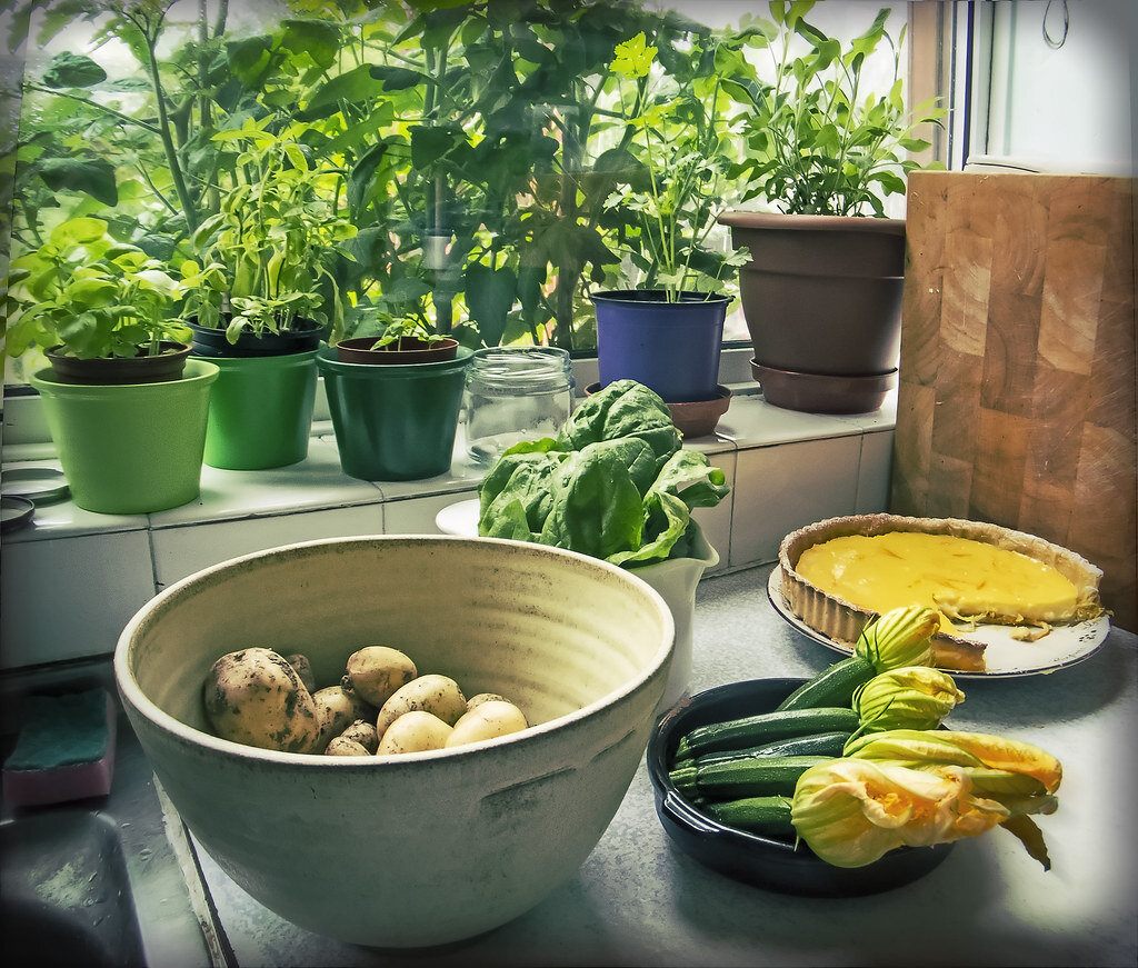 菜园到厨房蔬菜。jpg
