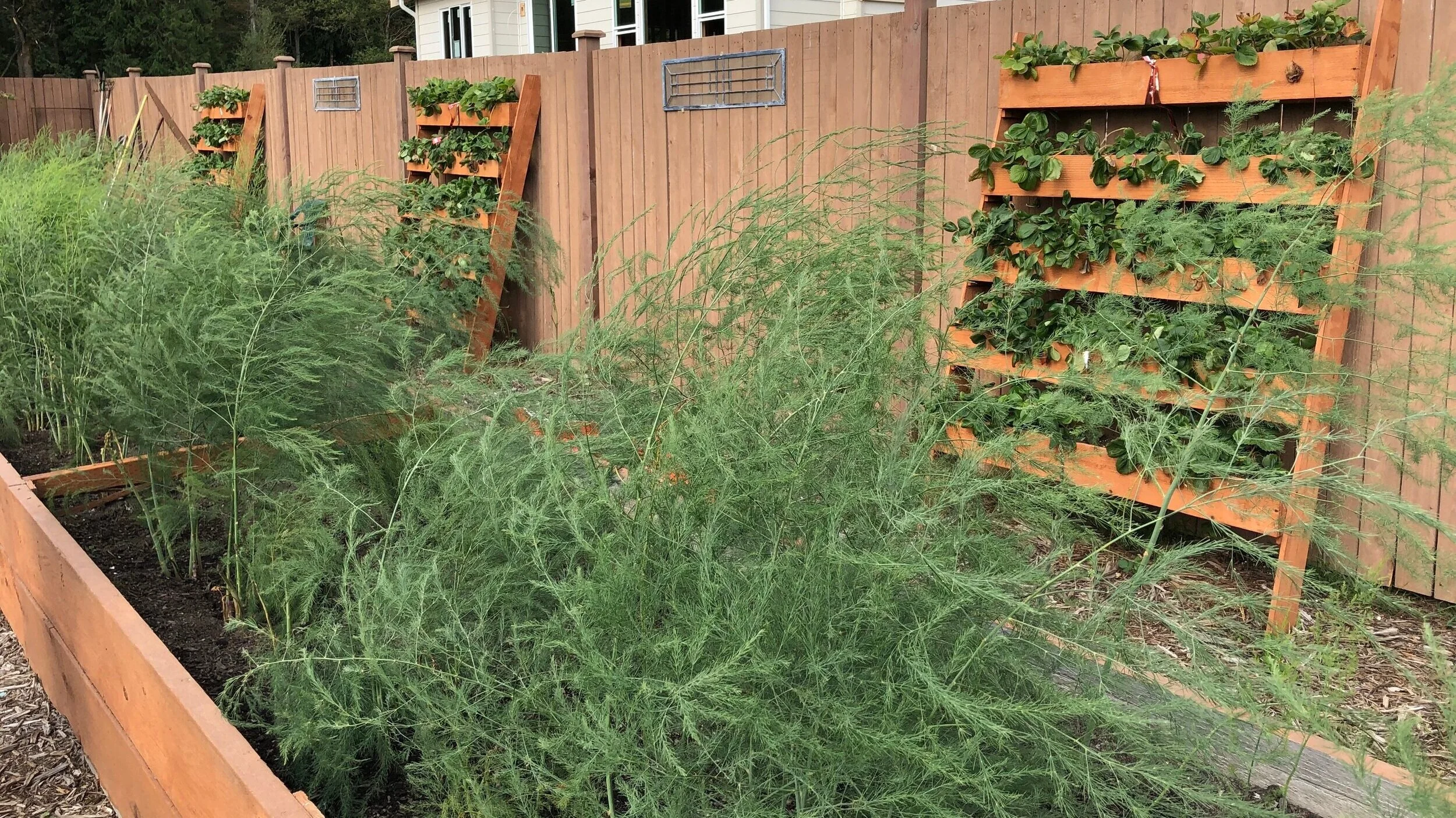 Hunker Down With These Perennial Veggies