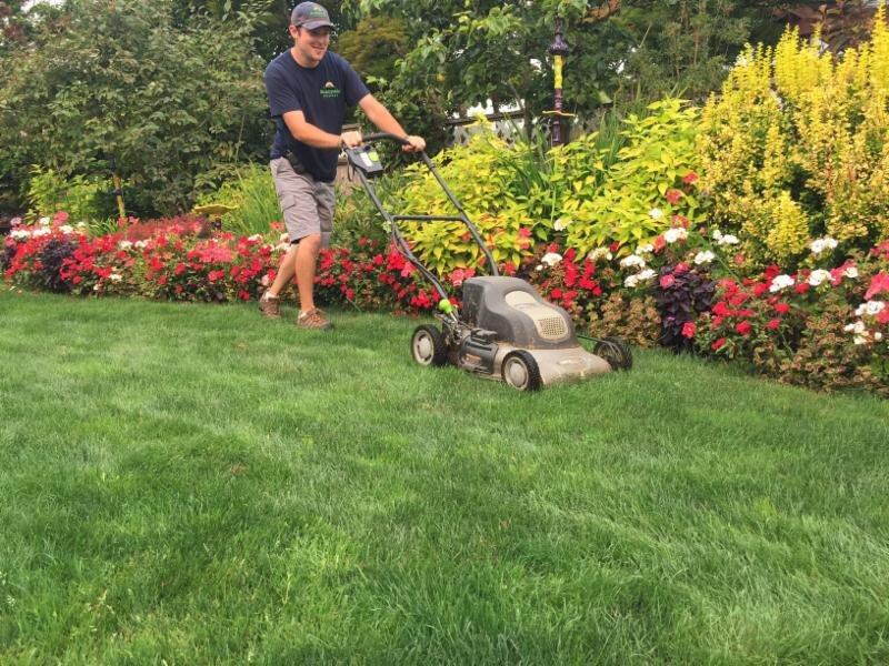 维斯在史蒂夫家的后院割草。jpg
